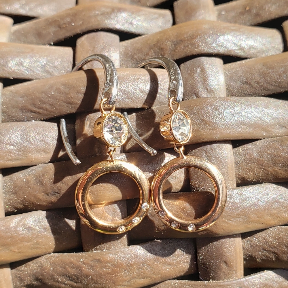 Fossil stainless steel dangle ear rings